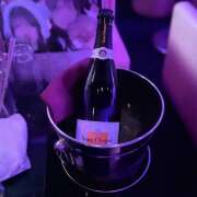 ヒメ日記 2026/02/16 20:34 投稿 ふう みつばちマーヤZ