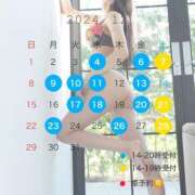 ヒメ日記 2024/12/14 12:46 投稿 橘 杏紗 ハールブルク