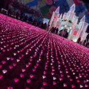 ヒメ日記 2025/01/12 18:20 投稿 橘 杏紗 ハールブルク