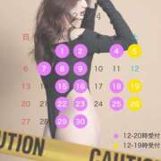 ヒメ日記 2025/03/23 15:12 投稿 橘 杏紗 ハールブルク