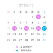 ヒメ日記 2025/04/21 12:27 投稿 橘 杏紗 ハールブルク