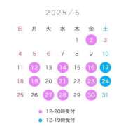 ヒメ日記 2025/04/24 15:30 投稿 橘 杏紗 ハールブルク