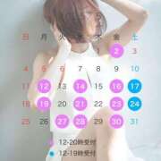 ヒメ日記 2025/04/30 16:47 投稿 橘 杏紗 ハールブルク