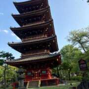 ヒメ日記 2025/05/05 13:40 投稿 橘 杏紗 ハールブルク