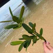 ヒメ日記 2025/05/08 19:55 投稿 橘 杏紗 ハールブルク