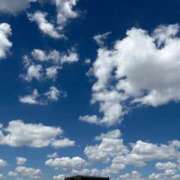 ヒメ日記 2025/07/30 13:29 投稿 橘 杏紗 ハールブルク