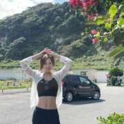 ヒメ日記 2025/08/28 11:42 投稿 橘 杏紗 ハールブルク