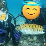 ヒメ日記 2025/08/31 18:50 投稿 橘 杏紗 ハールブルク