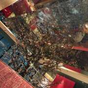 ヒメ日記 2025/12/04 19:45 投稿 橘 杏紗 ハールブルク