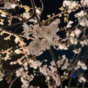 ヒメ日記 2026/03/30 19:11 投稿 橘 杏紗 ハールブルク