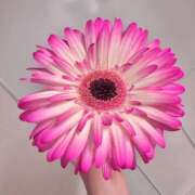 ヒメ日記 2026/04/11 11:35 投稿 橘 杏紗 ハールブルク