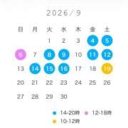 ヒメ日記 2026/08/25 22:35 投稿 橘 杏紗 ハールブルク