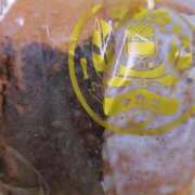 ヒメ日記 2025/05/16 20:58 投稿 あの ホテピン