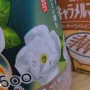 あの こんばんは ホテピン