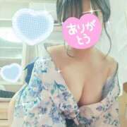 ヒメ日記 2026/06/12 16:45 投稿 宮嶋　真央 セレブクィーン