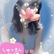 ヒメ日記 2025/08/17 09:32 投稿 数原りほ 五十路マダム静岡店（カサブランカG）