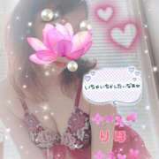 ヒメ日記 2025/09/11 07:02 投稿 数原りほ 五十路マダム静岡店（カサブランカG）