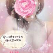 ヒメ日記 2026/02/09 12:58 投稿 数原りほ 五十路マダム静岡店（カサブランカG）