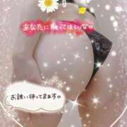 ヒメ日記 2026/02/24 23:38 投稿 数原りほ 五十路マダム静岡店（カサブランカG）