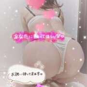 ヒメ日記 2026/04/08 21:06 投稿 数原りほ 五十路マダム静岡店（カサブランカG）