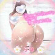 ヒメ日記 2026/10/13 06:46 投稿 数原りほ 五十路マダム静岡店（カサブランカG）
