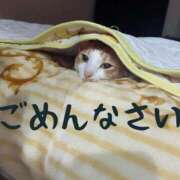 ヒメ日記 2025/02/28 07:13 投稿 道外みさと 癒したくて千葉店～日本人アロマ性感～