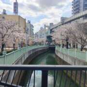 ヒメ日記 2025/04/08 12:06 投稿 嘉島けい 癒したくて千葉店～日本人アロマ性感～