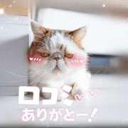 ヒメ日記 2025/01/18 01:23 投稿 和泉さりな 癒したくて千葉店～日本人アロマ性感～