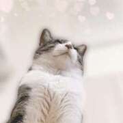 ヒメ日記 2025/02/08 08:15 投稿 和泉さりな 癒したくて千葉店～日本人アロマ性感～