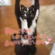 ヒメ日記 2025/03/27 22:22 投稿 和泉さりな 癒したくて千葉店～日本人アロマ性感～