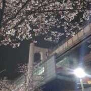 ヒメ日記 2025/04/07 16:24 投稿 和泉さりな 癒したくて千葉店～日本人アロマ性感～