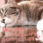 ヒメ日記 2025/08/03 23:49 投稿 和泉さりな 癒したくて千葉店～日本人アロマ性感～