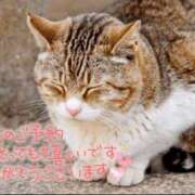 ヒメ日記 2025/08/09 09:47 投稿 和泉さりな 癒したくて千葉店～日本人アロマ性感～