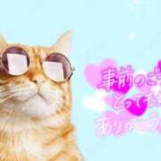 ヒメ日記 2025/08/15 22:45 投稿 和泉さりな 癒したくて千葉店～日本人アロマ性感～