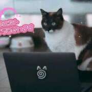 ヒメ日記 2025/10/20 16:32 投稿 和泉さりな 癒したくて千葉店～日本人アロマ性感～