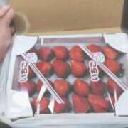 ヒメ日記 2025/12/31 14:39 投稿 和泉さりな 癒したくて千葉店～日本人アロマ性感～