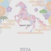 ヒメ日記 2026/01/01 08:30 投稿 田崎じゅん 癒したくて千葉店～日本人アロマ性感～