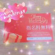 ヒメ日記 2025/02/04 21:03 投稿 甲野あやか 癒したくて千葉店～日本人アロマ性感～