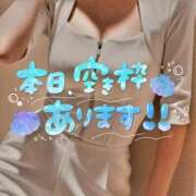 ヒメ日記 2025/05/20 17:09 投稿 なぎ ハンドリング　亀頭責め専門店