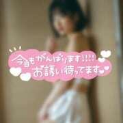 ヒメ日記 2025/05/31 11:09 投稿 なぎ ハンドリング　亀頭責め専門店