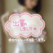 ヒメ日記 2025/10/30 22:25 投稿 なぎ ハンドリング　亀頭責め専門店