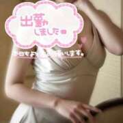 ヒメ日記 2025/11/15 00:30 投稿 なぎ ハンドリング　亀頭責め専門店