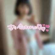 ヒメ日記 2026/01/13 21:07 投稿 なぎ ハンドリング　亀頭責め専門店