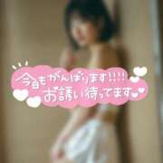 ヒメ日記 2026/01/13 21:39 投稿 なぎ ハンドリング　亀頭責め専門店