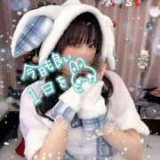 ヒメ日記 2024/12/19 22:05 投稿 かれん 横浜シンデレラ（シンデレラグループ）