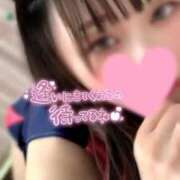 ヒメ日記 2025/02/01 21:16 投稿 かれん 横浜シンデレラ（シンデレラグループ）