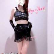 ヒメ日記 2025/02/14 17:42 投稿 莉那(りな) PLUS梅田店