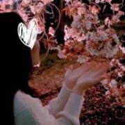 ヒメ日記 2025/04/11 07:13 投稿 莉那(りな) PLUS梅田店