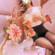 ヒメ日記 2025/09/15 07:03 投稿 莉那(りな) PLUS梅田店
