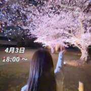 ヒメ日記 2026/04/03 18:22 投稿 莉那(りな) PLUS梅田店